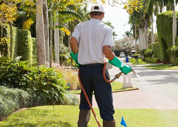 About Ashland WI Pest Control Pros